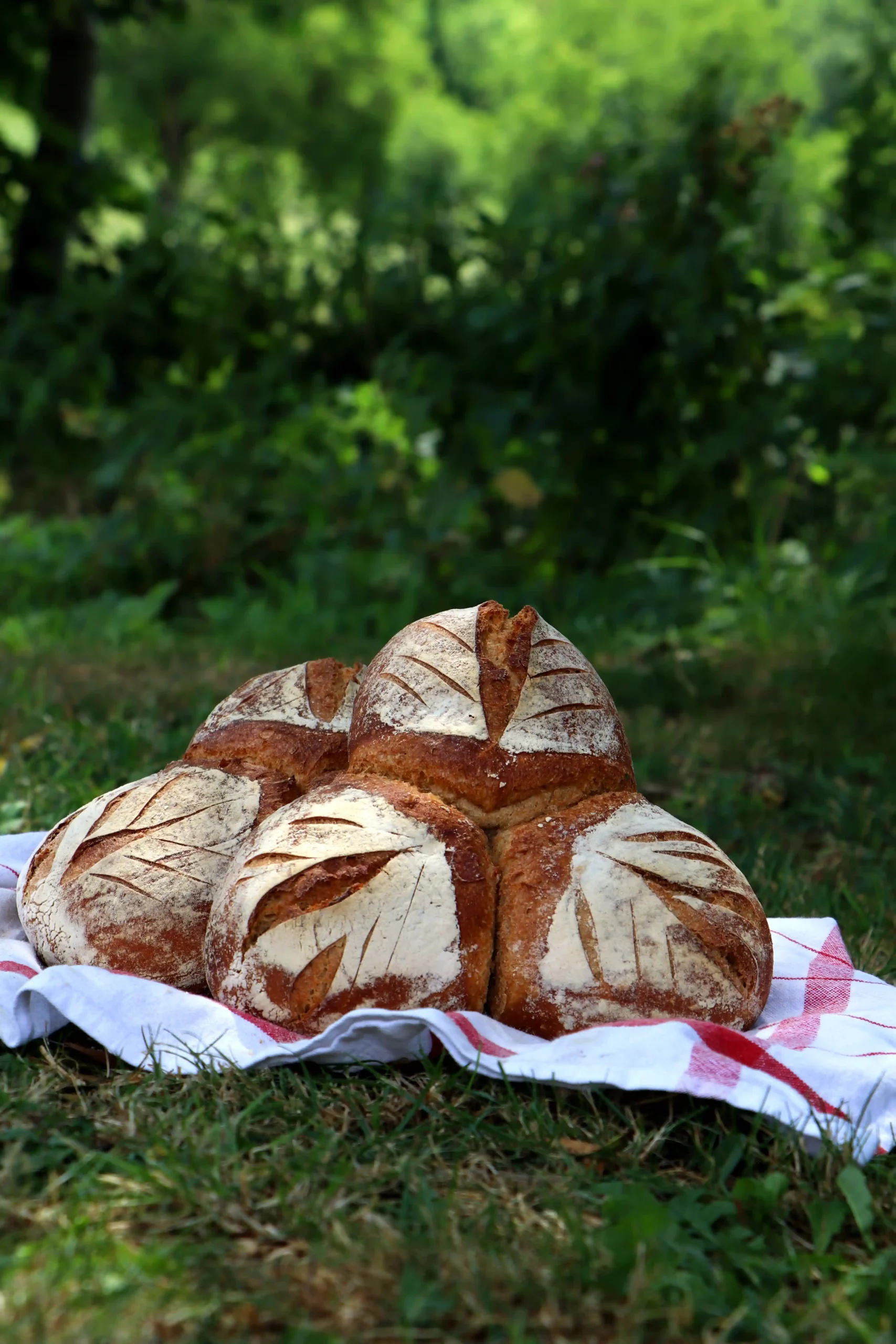 Farine trio d'épis, blé T80, petit épeautre, grand épeautre - Fournil du Moulin de Colagne