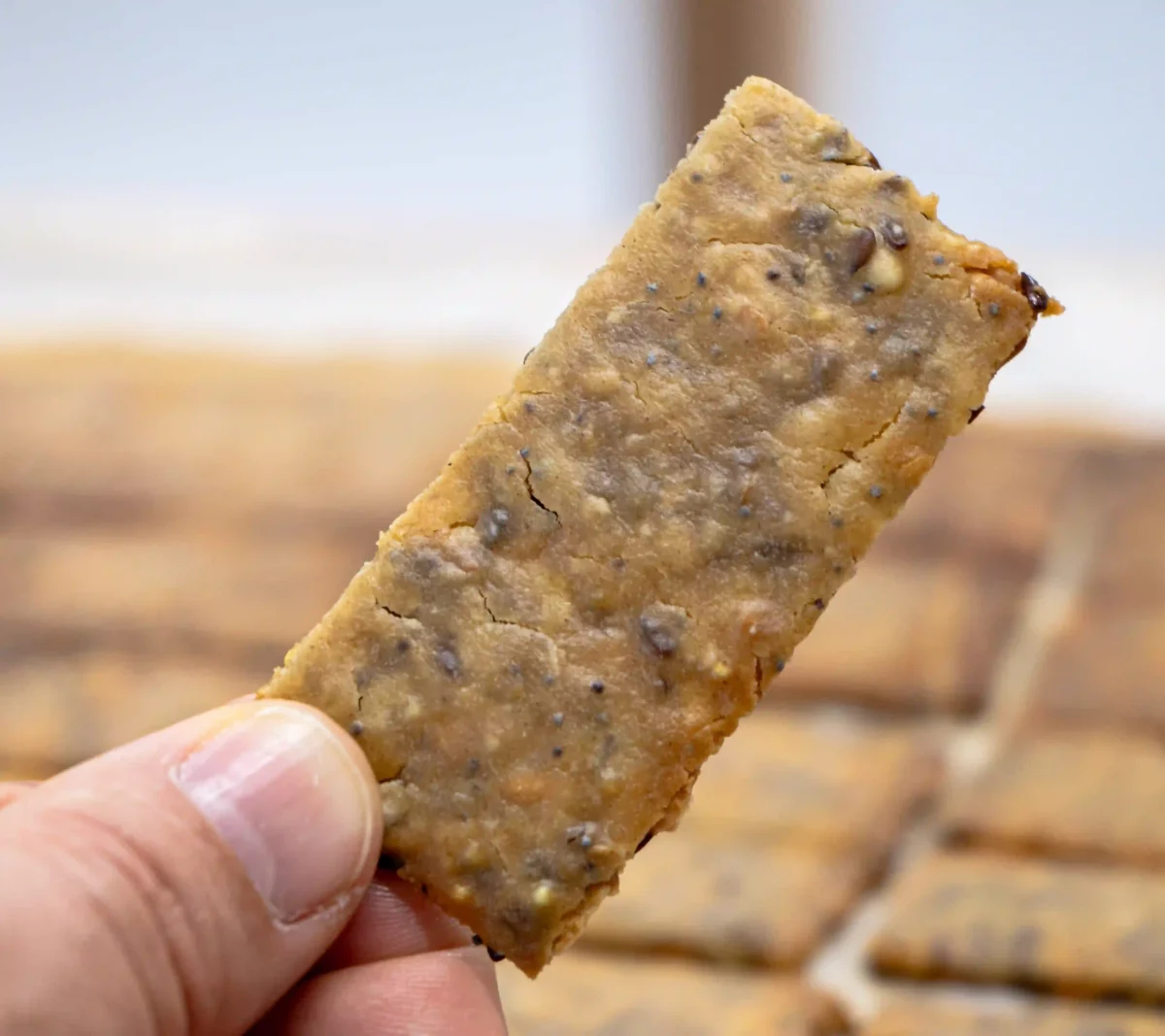 Crakers aux graines au levain